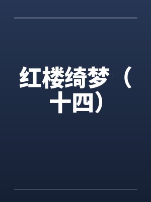 红楼绮梦（十四）封面
