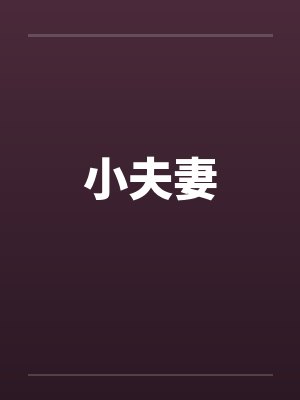 小夫妻封面