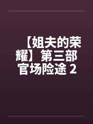 【姐夫的荣耀】第三部官场险途 21-23集 (完) 作者：小手封面