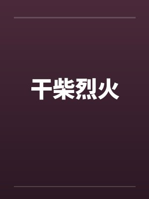 干柴烈火封面