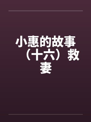 小惠的故事（十六）救妻封面