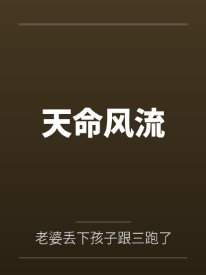 天命风流笔趣阁无弹窗封面