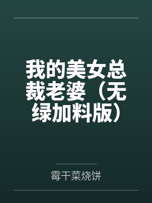 我的美女总裁老婆（无绿加料版）封面