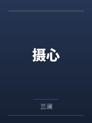 摄心小说兰澜封面