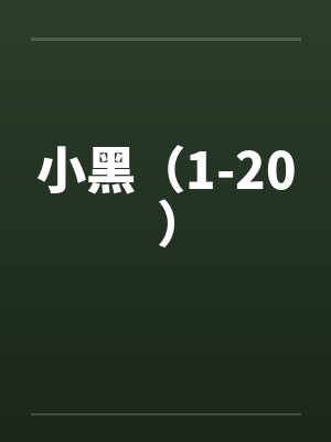 小黑（1-20）封面