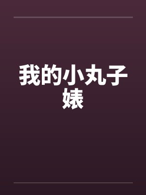我的小丸子婊by佚名笔趣阁无弹窗封面