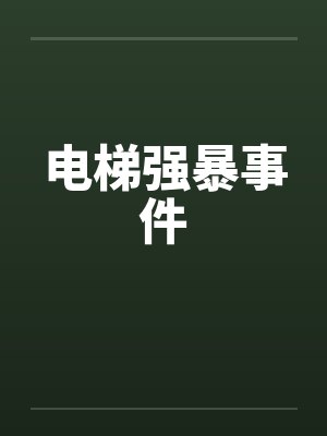 电梯强暴事件by佚名封面
