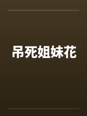 吊死姐妹花by佚名封面