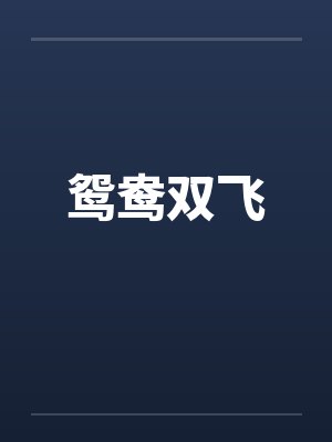 鸳鸯双飞封面