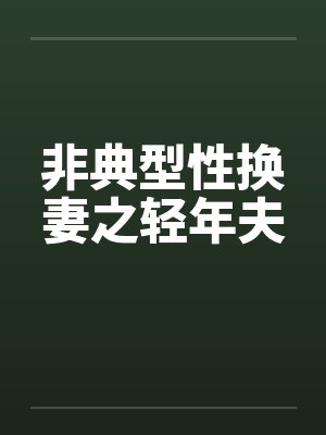 非典型性换妻之轻年夫by佚名笔趣阁无弹窗封面